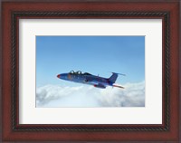 Framed L-29 Delfin standard jet trainer of the Warsaw Pact