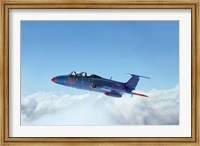 Framed L-29 Delfin standard jet trainer of the Warsaw Pact