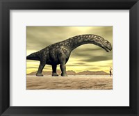 Framed Large Argentinosaurus dinosaur face to face with a human