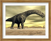 Framed Large Argentinosaurus dinosaur face to face with a human