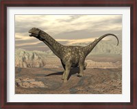 Framed Large Argentinosaurus dinosaur walking on rocky terrain