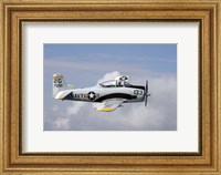 Framed T-28 Trojan trainer warbird in US Navy colors
