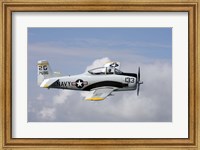 Framed T-28 Trojan trainer warbird in US Navy colors