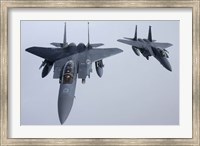 Framed Two  F-15E Strike Eagle of the US Air Force