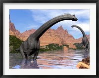 Framed Two Brachiosaurus dinosaurs in water next to red rock mountains