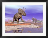 Framed Two Nedoceratops next to water in a colorful rocky landscape