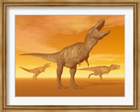 Framed Tyrannosaurus Rex dinosaurs in an orange foggy desert by sunset
