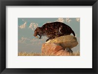 Framed Smilodon sits on a rock surrounded by golden fall fields