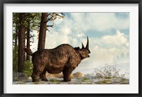 Framed woolly rhinoceros trudges through the snow, Pleistocene epoch
