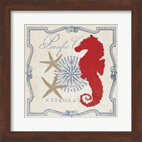 Framed Pacific Seahorse