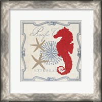 Framed Pacific Seahorse