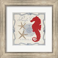 Framed Pacific Seahorse