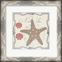 Framed Pacific Starfish