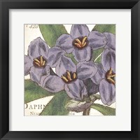 Framed Purple Floral