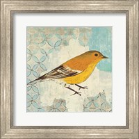 Framed Pine Warbler