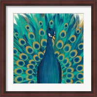 Framed Proud as a Peacock I