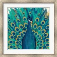 Framed Proud as a Peacock I