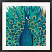Framed Proud as a Peacock I