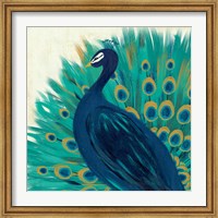 Framed Proud as a Peacock II
