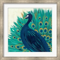Framed Proud as a Peacock II