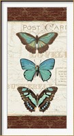 Framed Papillons I
