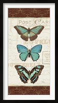 Papillons I Framed Print