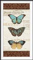 Papillons II Framed Print