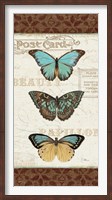 Framed Papillons II
