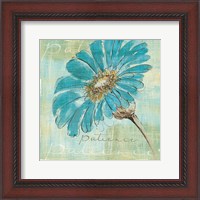 Framed Spa Daisies II