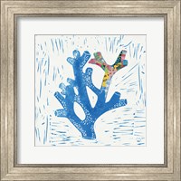 Framed Sea Creature Coral Color