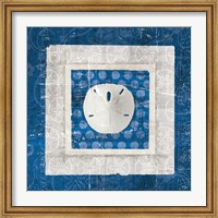 Framed Sea Shell I on Blue