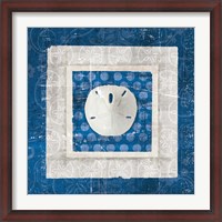 Framed Sea Shell I on Blue