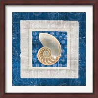 Framed Sea Shell II on Blue