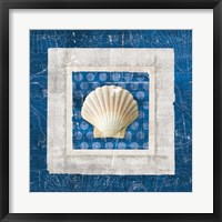Framed Sea Shell III on Blue