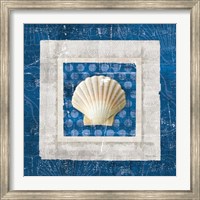 Framed Sea Shell III on Blue