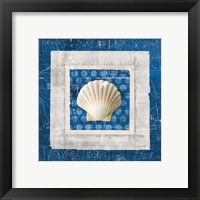 Framed 'Sea Shell III on Blue' border=