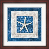 Framed Sea Shell IV on Blue