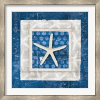 Framed Sea Shell IV on Blue