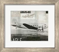 Framed Wings Collage IV