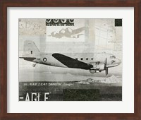 Framed Wings Collage IV