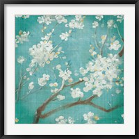 Framed White Cherry Blossoms I on Blue Aged No Bird