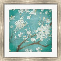 Framed White Cherry Blossoms I on Blue Aged No Bird