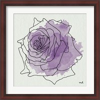 Framed Watercolor Floral IV