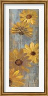 Framed Yellow Gerberas II