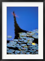 Framed Lily Pond and Temple Reflection in Blue, China