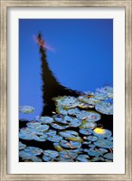 Framed Lily Pond and Temple Reflection in Blue, China