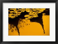 Framed Lily Pond and Temple Reflection in Yellow, China