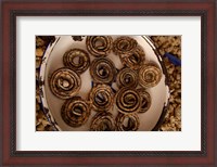 Framed Dried Snakes in Kunming Traditional Medicine Market, Yunnan Province, China