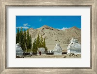 Framed White Stupa Forest, Shey, Ladakh, India