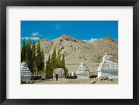 Framed White Stupa Forest, Shey, Ladakh, India